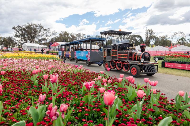 Thông tin của tour: Úc: Melbourne - Dandenong - Yarra Valley - Canberra - Sydney - Blue Mountain  (Lễ hội hoa Floriade, Trải nghiệm khách sạn Novotel tại Sydney)