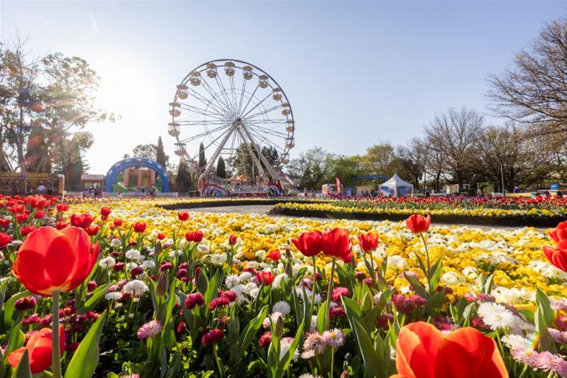 Thông tin của tour: Úc: Melbourne - Dandenong - Yarra Valley Canberra - Sydney (Lễ hội hoa Floriade, 01 ngày tự do Sydney, Trải nghiệm khách sạn Novotel tại Sydney)
