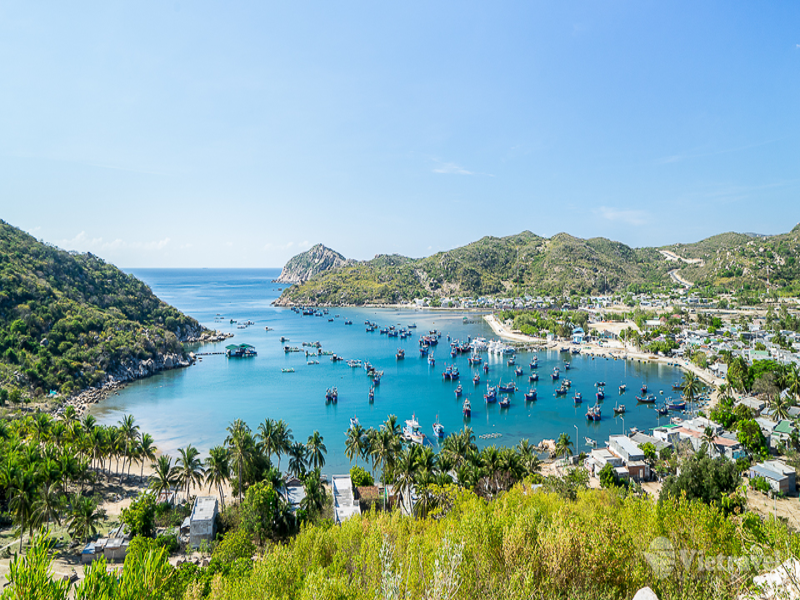 Thông tin của tour: Caravan miền Trung - Hành trình đa sắc: Vịnh Vĩnh Hy - Quy Nhơn - phố cổ Hội An - Đà Nẵng - Tuy Hòa