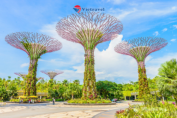 Thông tin của tour: Singapore 4 ngày 3 đêm (Tặng vé tham quan Cloud Forest và Flower Dome, Khu vườn giác quan Sensory Scape)